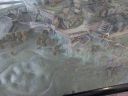 20220601_104604.jpg