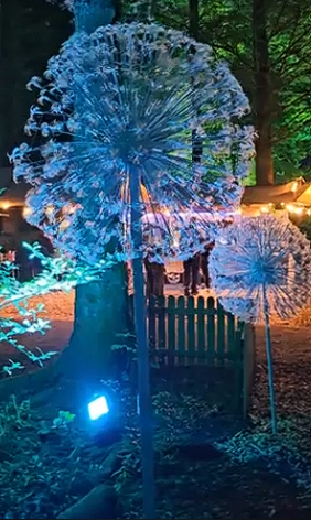 Pitlochry Enchanted Forest Full tour thumbnail