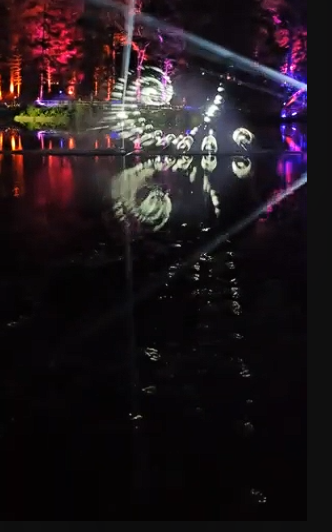 Whispers of the Woodland: A Symphony of Light and Nature thumbnail